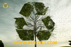 Recycling and environmental health