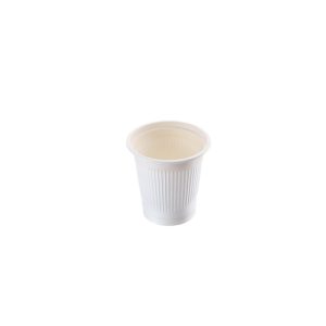 Biodegradable Cup 170 ML