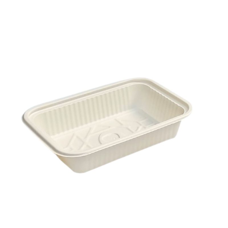 biodegradable one compartment bento box